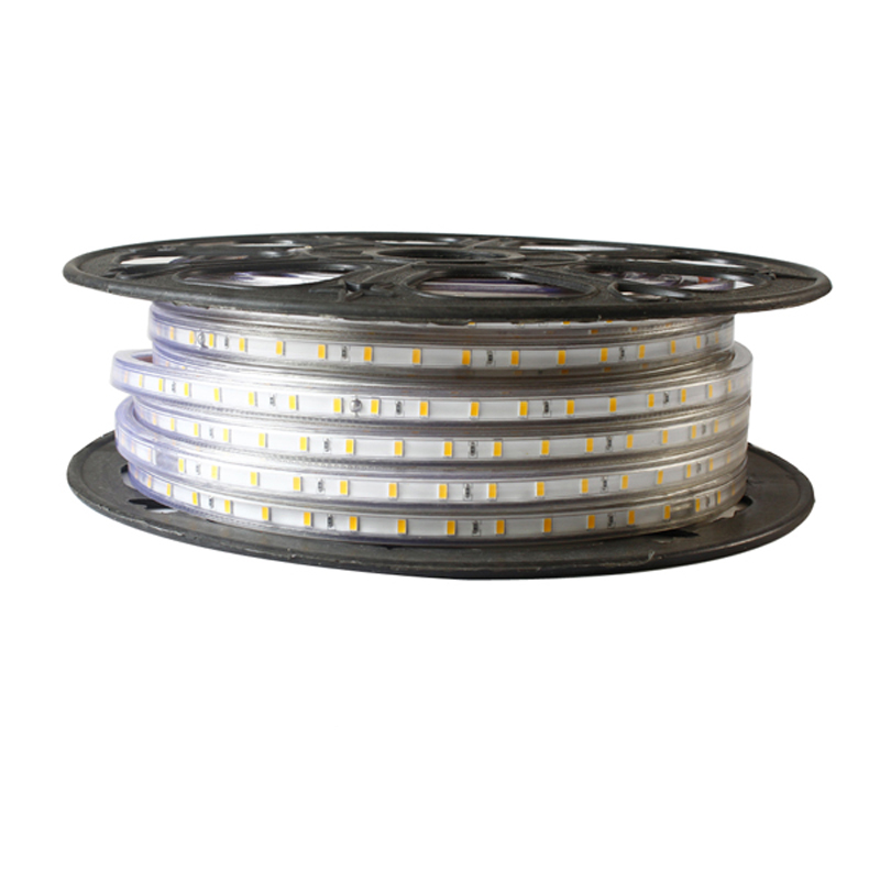 110V 220V SMD5730 LED Strip Lights (1)